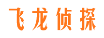 宛城市调查公司